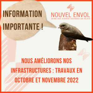 INFO_travaux