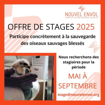STAGE POUR LES AMOUREUX DES OISEAUX